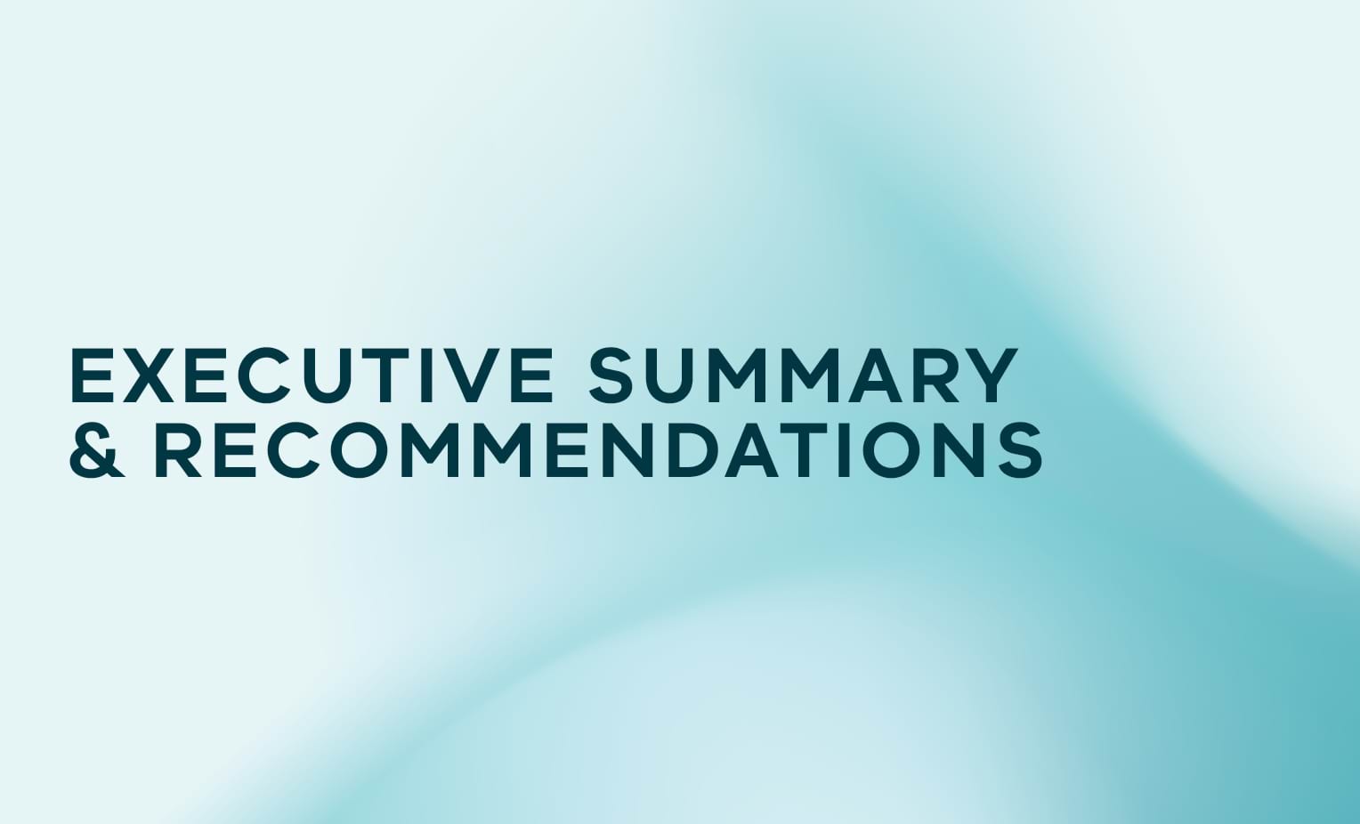 Executive Summary and Recommendations